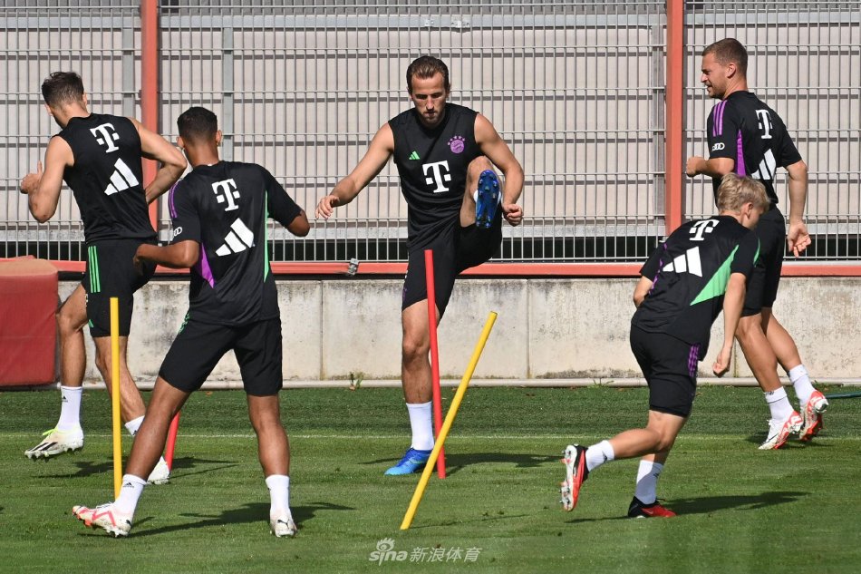 献上了激动 献上了激动