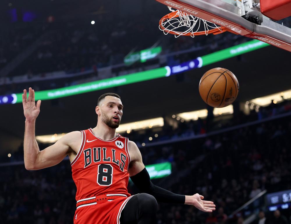 禁区内的哈 禁区内的哈